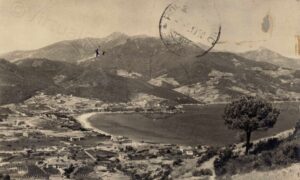 Procchio timbro postale del 1959